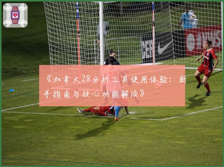 《加拿大28分析工具使用体验：新手指南与核心功能解读》