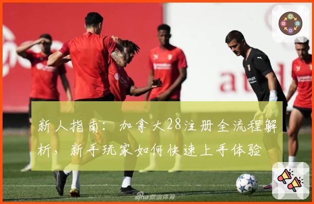 新人指南：加拿大28注册全流程解析，新手玩家如何快速上手体验