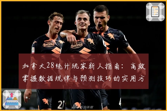 加拿大28统计玩家新人指南：高效掌握数据规律与预测技巧的实用方法