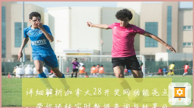 详细解析加拿大28开奖网功能亮点，带你玩转实时数据查询与结果分析