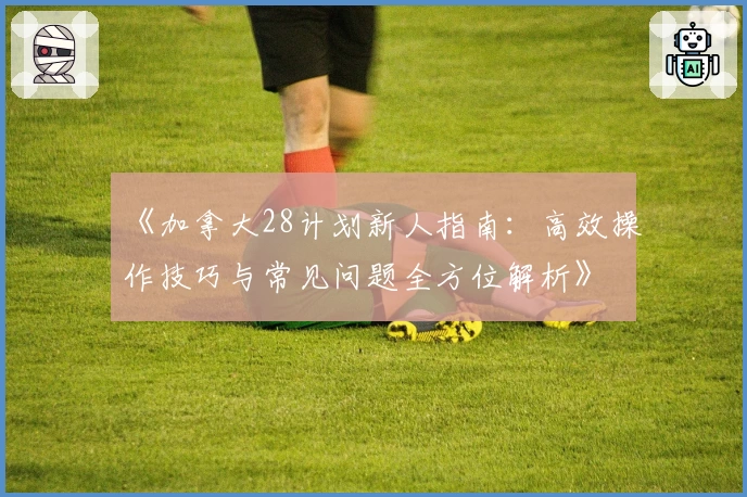 《加拿大28计划新人指南：高效操作技巧与常见问题全方位解析》