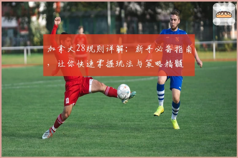 加拿大28规则详解：新手必备指南，让你快速掌握玩法与策略精髓