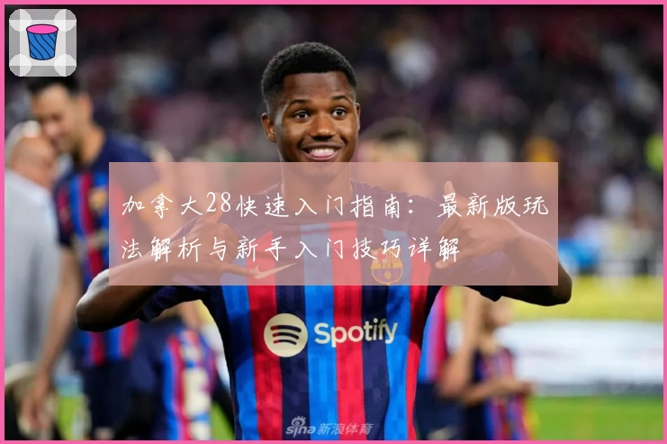 加拿大28快速入门指南：最新版玩法解析与新手入门技巧详解