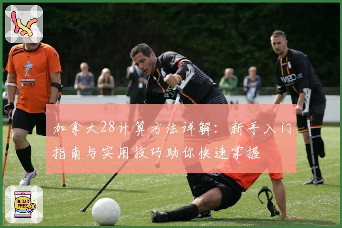 加拿大28计算方法详解：新手入门指南与实用技巧助你快速掌握