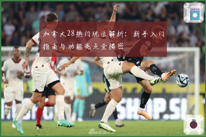 加拿大28热门玩法解析：新手入门指南与功能亮点全揭密