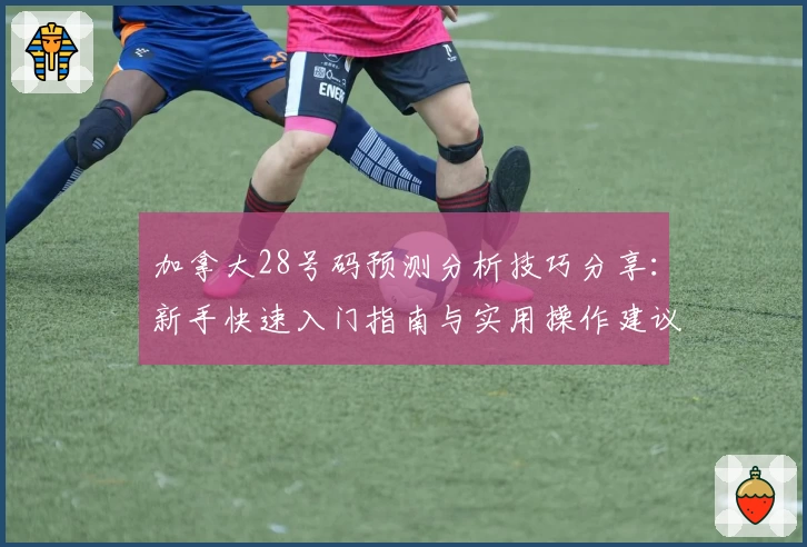 加拿大28号码预测分析技巧分享:新手快速入门指南与实用操作建议