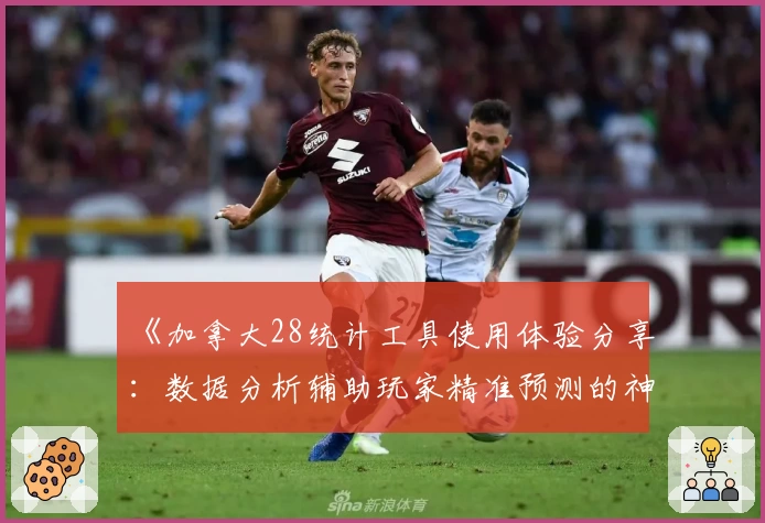 《加拿大28统计工具使用体验分享：数据分析辅助玩家精准预测的神器》