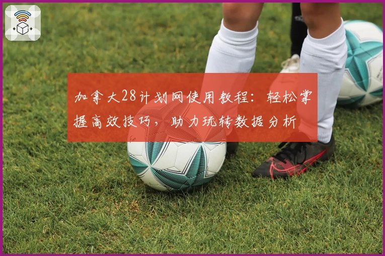 加拿大28计划网使用教程：轻松掌握高效技巧，助力玩转数据分析