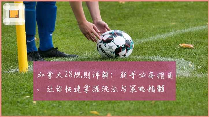加拿大28规则详解：新手必备指南，让你快速掌握玩法与策略精髓
