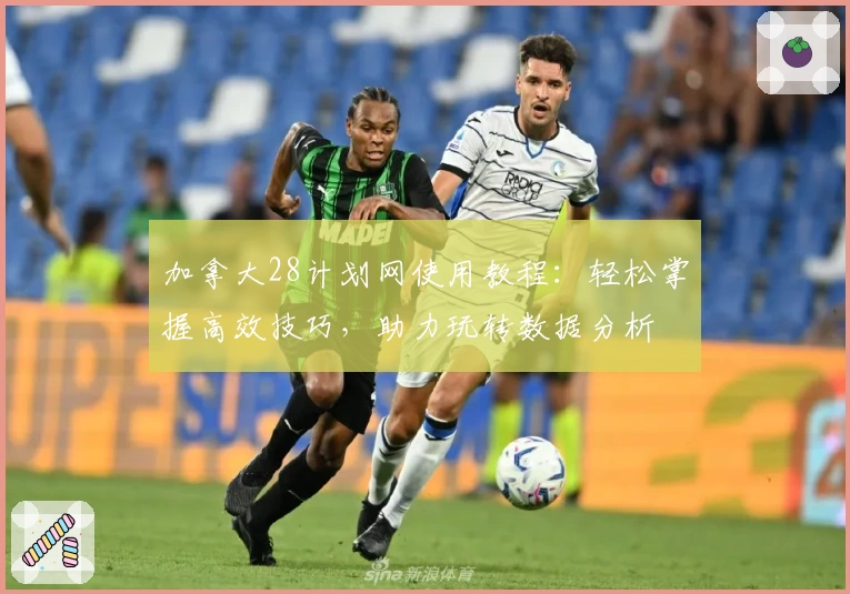 加拿大28计划网使用教程：轻松掌握高效技巧，助力玩转数据分析