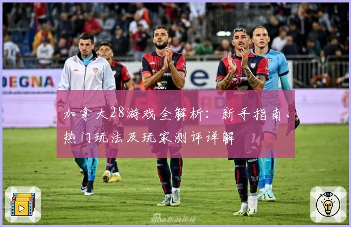 加拿大28游戏全解析：新手指南、热门玩法及玩家测评详解