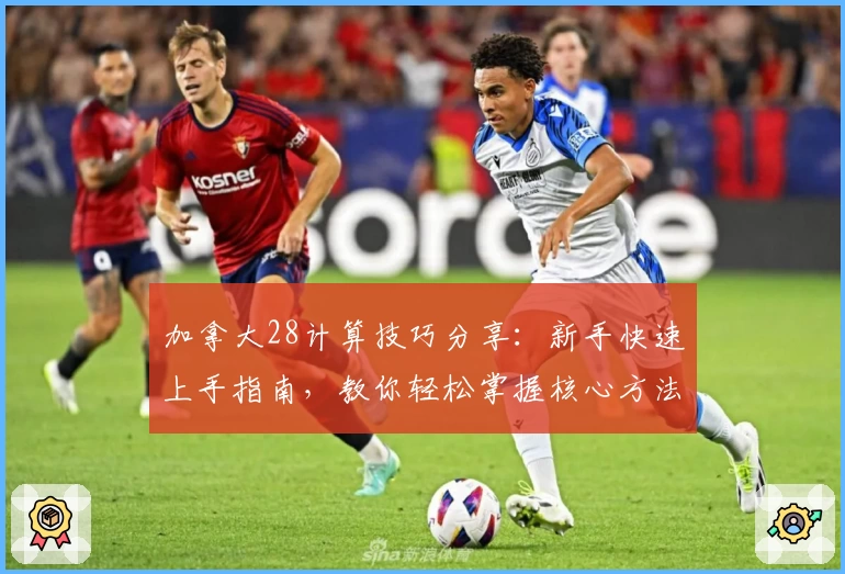 加拿大28计算技巧分享:新手快速上手指南,教你轻松掌握核心方法