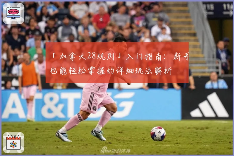 「加拿大28规则」入门指南：新手也能轻松掌握的详细玩法解析