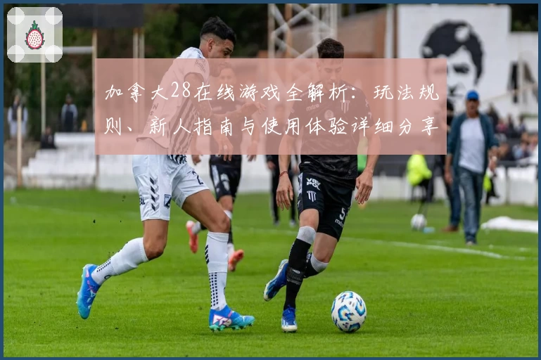 加拿大28在线游戏全解析：玩法规则、新人指南与使用体验详细分享