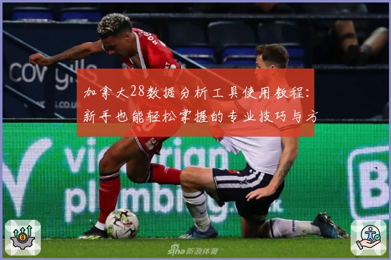 加拿大28数据分析工具使用教程：新手也能轻松掌握的专业技巧与方法