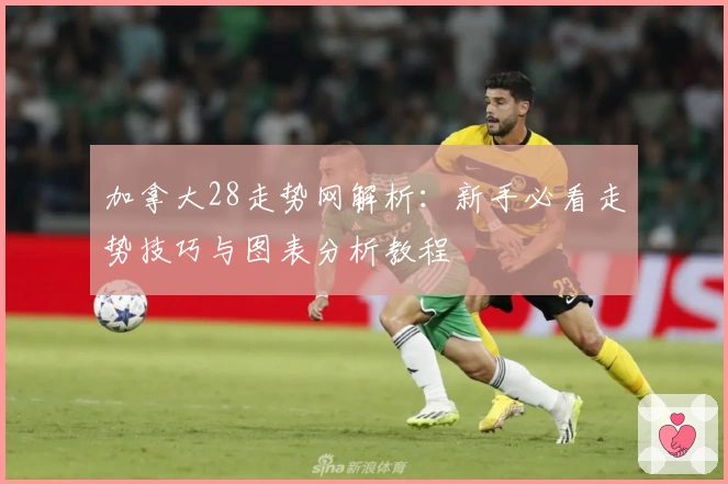 加拿大28走势网解析：新手必看走势技巧与图表分析教程