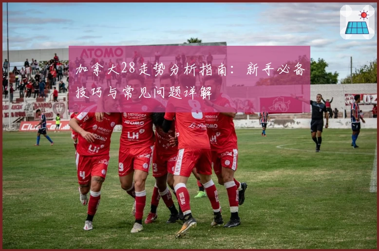 加拿大28走势分析指南：新手必备技巧与常见问题详解