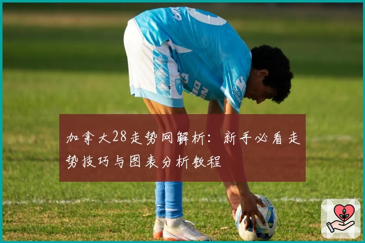 加拿大28走势网解析：新手必看走势技巧与图表分析教程