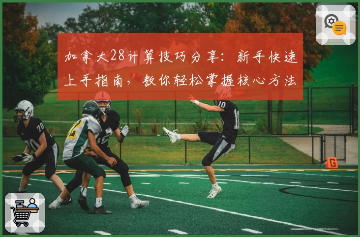 加拿大28计算技巧分享:新手快速上手指南,教你轻松掌握核心方法