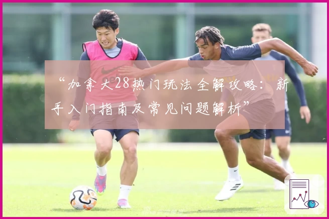 “加拿大28热门玩法全解攻略：新手入门指南及常见问题解析”