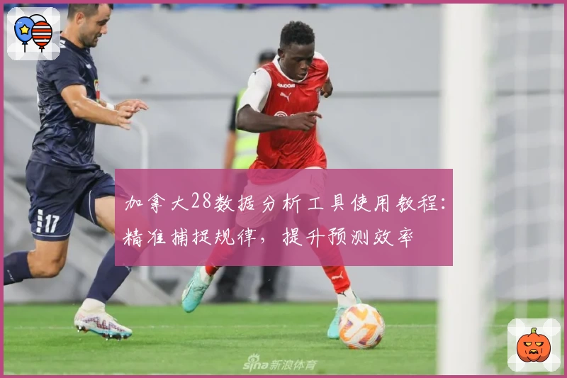 加拿大28数据分析工具使用教程：精准捕捉规律，提升预测效率