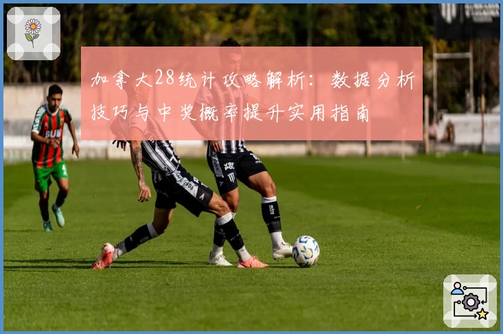 加拿大28统计攻略解析：数据分析技巧与中奖概率提升实用指南