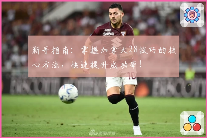 新手指南：掌握加拿大28技巧的核心方法，快速提升成功率！