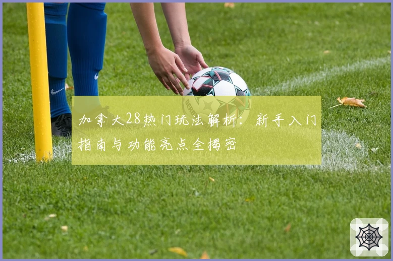 加拿大28热门玩法解析：新手入门指南与功能亮点全揭密