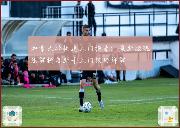 加拿大28快速入门指南：最新版玩法解析与新手入门技巧详解