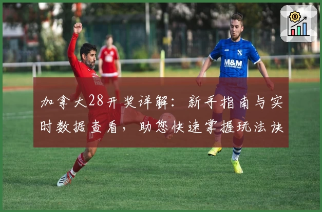 加拿大28开奖详解：新手指南与实时数据查看，助您快速掌握玩法诀窍