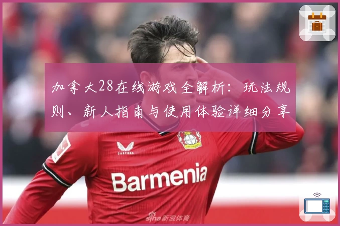 加拿大28在线游戏全解析：玩法规则、新人指南与使用体验详细分享
