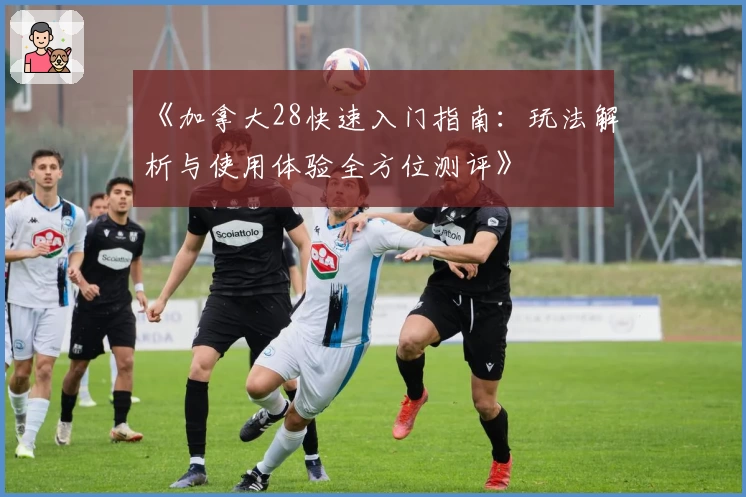 《加拿大28快速入门指南：玩法解析与使用体验全方位测评》