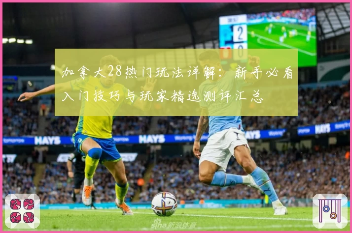 加拿大28热门玩法详解:新手必看入门技巧与玩家精选测评汇总