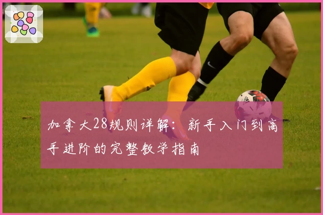 加拿大28规则详解：新手入门到高手进阶的完整教学指南