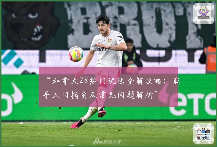 “加拿大28热门玩法全解攻略：新手入门指南及常见问题解析”