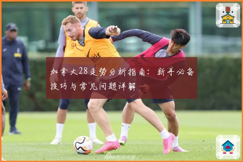 加拿大28走势分析指南：新手必备技巧与常见问题详解