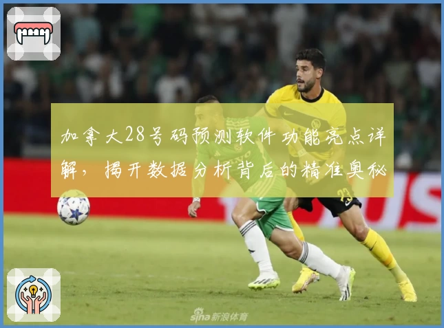 加拿大28号码预测软件功能亮点详解,揭开数据分析背后的精准奥秘