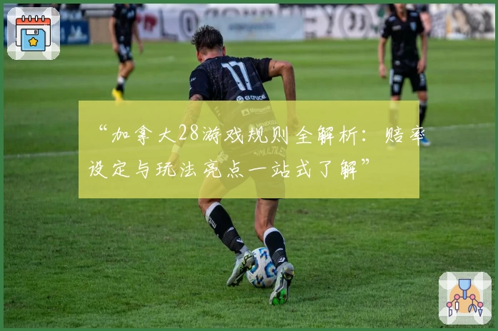 “加拿大28游戏规则全解析：赔率设定与玩法亮点一站式了解”