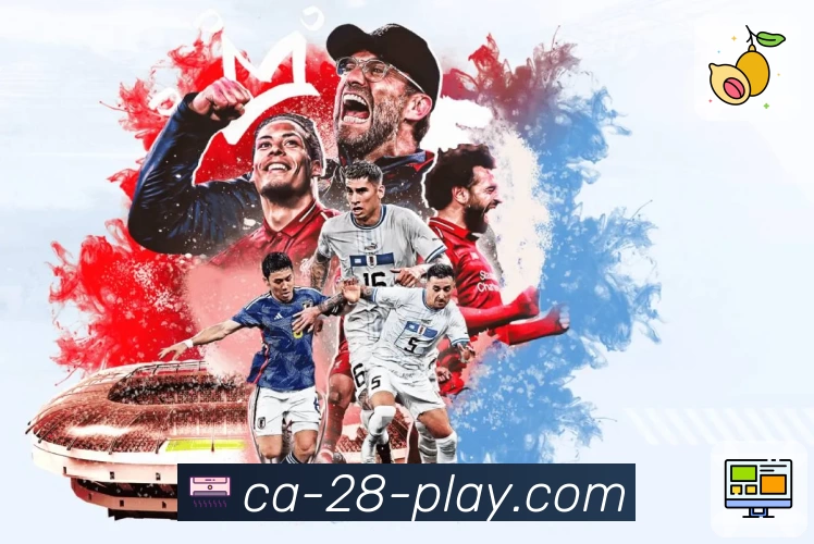 加拿大28团队风采